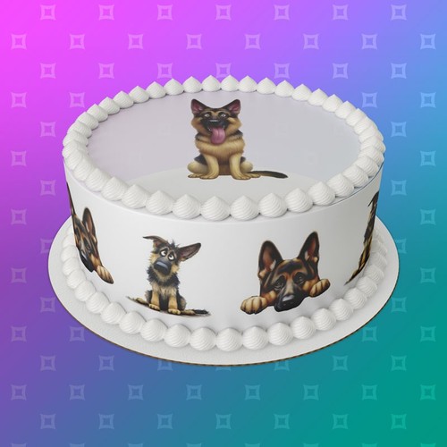 German shepherd dog alsatian - shepherd, /