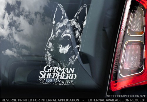 German shepherd board car - shepherd, on