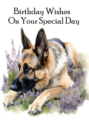 German shepherd dog birthday - dog,