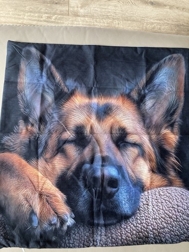 German shepherd alsatian - german,