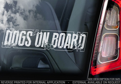 Dogs board car window - -,