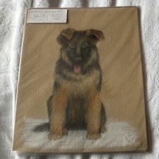 Unmounted Pastel Picture