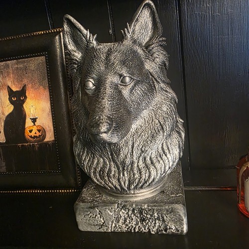 Longhaired german shepherd - longhaired,