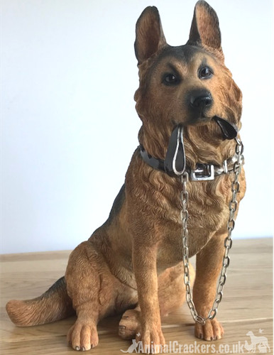 Large alsatian german shepherd - german,