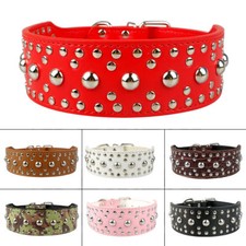 Dog Collar Studded 5 cm Wide