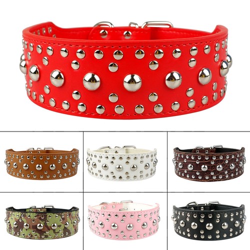 Dog collar studded - dog, 5