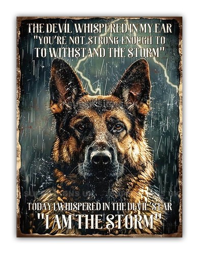 German shepherd alsatian i - alsatian, "