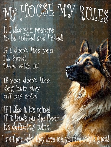 German shepherd dog - german,