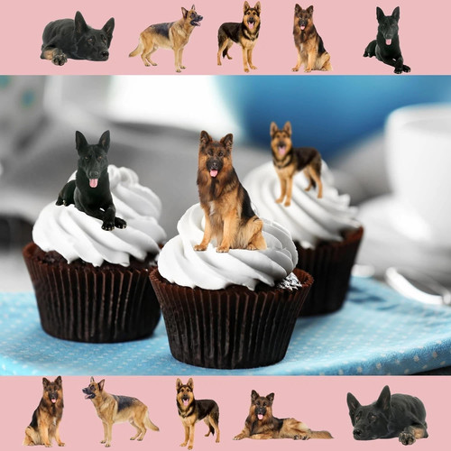 Pre cut german shepherd - x, pre-cut