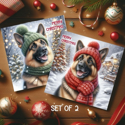 German shepherd dog - dog, christmas