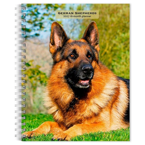 German shepherd engagement - german,