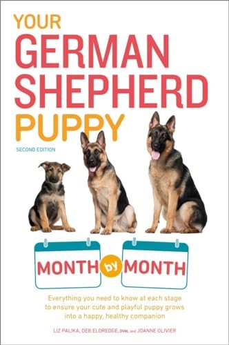 Your german shepherd puppy - your,