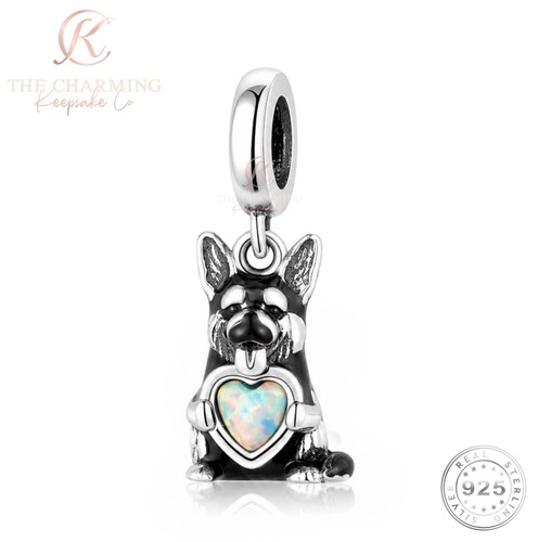 German shepherd dog - dog, charm