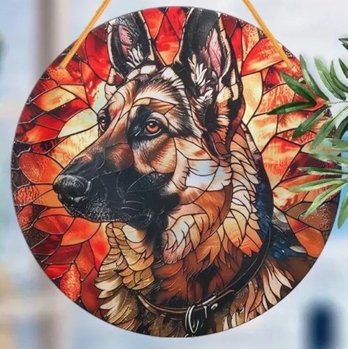 Alsatian large german shepherd - alsatian,