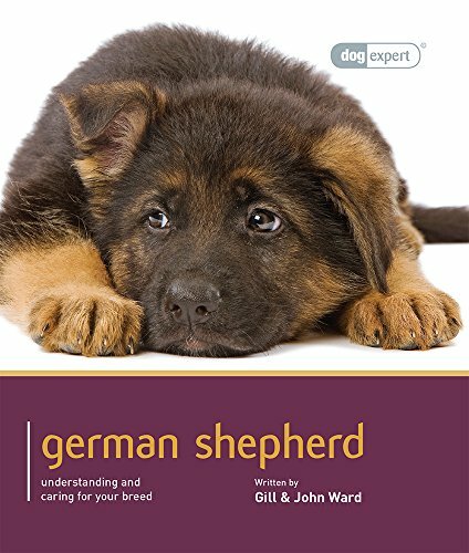 German shepherd - german, expert)