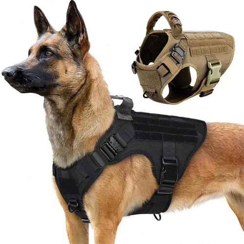 Military large dog - large,