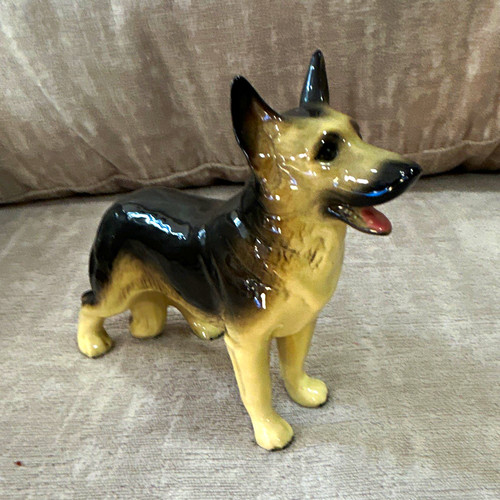 Alsatian german shepherd - alsatian/german, dog