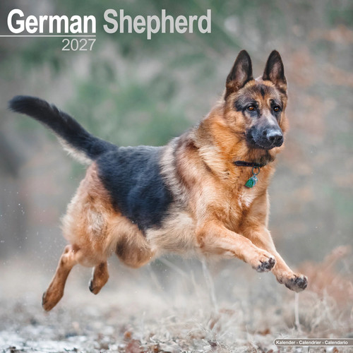 German shepherd 2027 calendar - german,