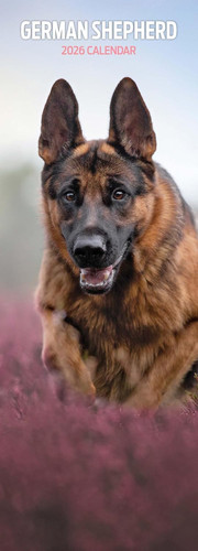 German shepherd 2026 slim - german,