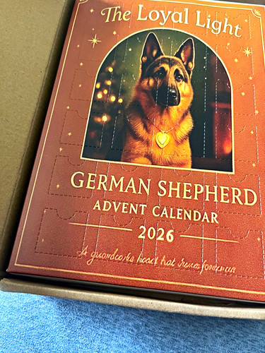 German shepherd advent - german,