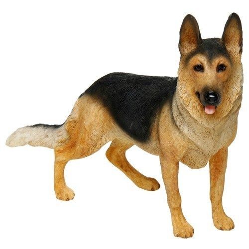 Alsatian german shepherd - alsatian,