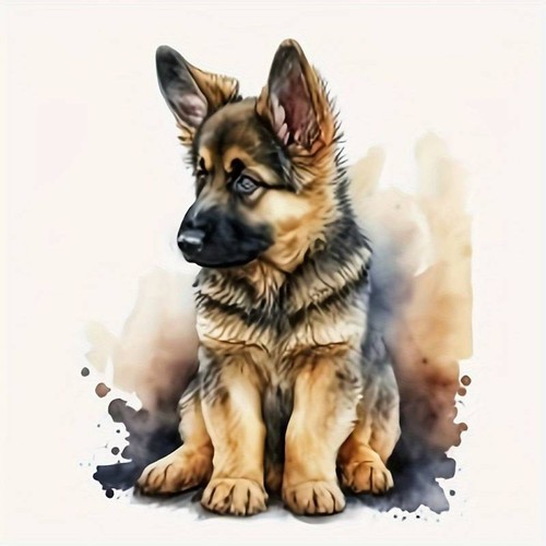 German shepherd cross - (3),