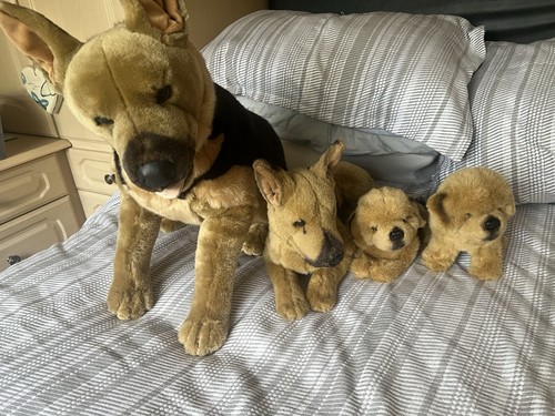 Classic german shepherd - classic,