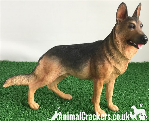 Alsatian german shepherd - alsatian,