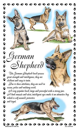 German shepherd dog tea - shepherd,