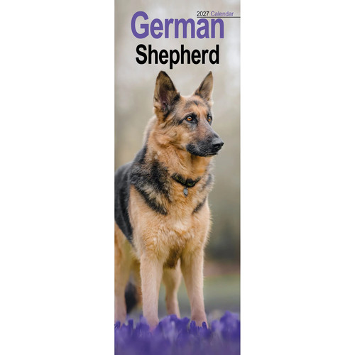 German shepherd slim - shepherd,