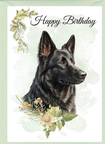 German shepherd dog alsatian - shepherd,