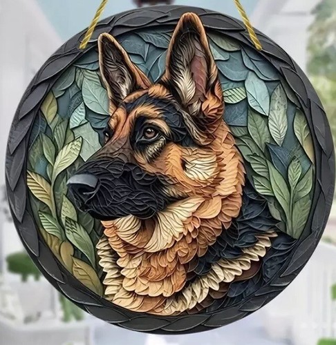 Alsatian german shepherd dog - shepherd,
