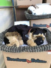 Precious Petzzz - German