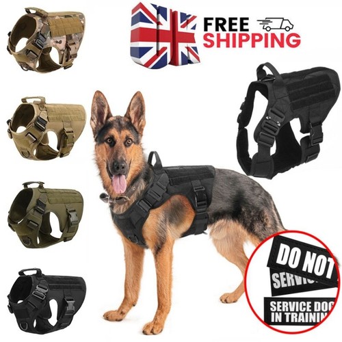 Tactical dog harness leash - harness,