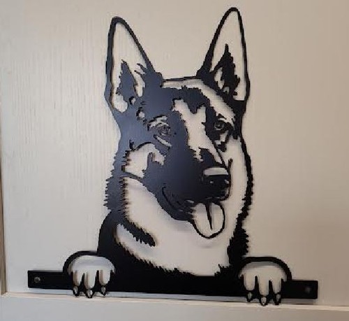 German shepherd alsatian - shepherd, dog