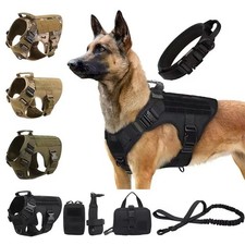 Tactical Dog Harness & Leash