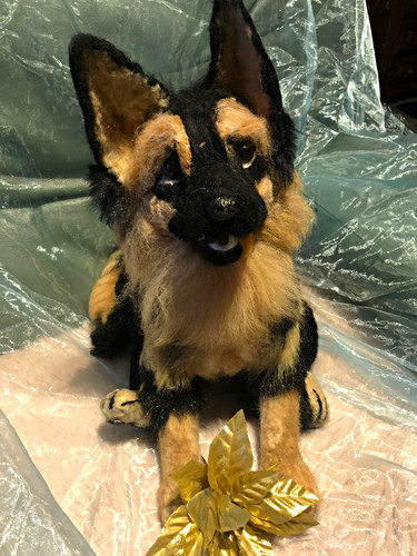 Alsatian german shepherd - alsatian/german, dog