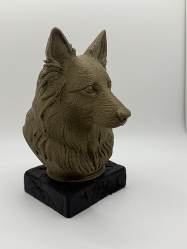 Long haired german shepherd - haired,