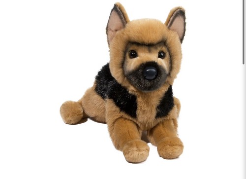 General german shepherd - shepherd, |