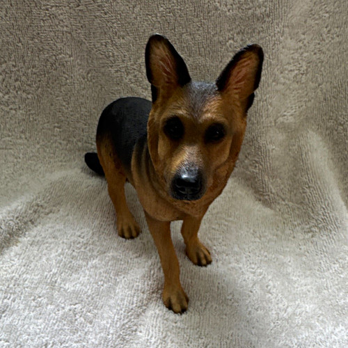 Alsatian german shepherd - alsatian/german,
