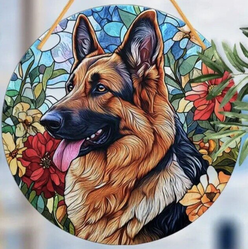 Alsatian large german shepherd - german,
