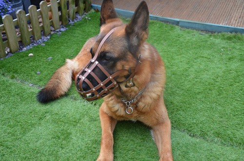 New light leather dog muzzle - new,