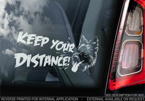 German shepherd car sticker - shepherd,