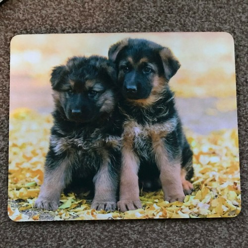 German shepherd puppies mouse - shepherd,