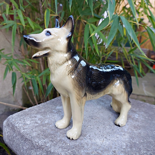 Vintage alsatian german - vintage, alsatian/german