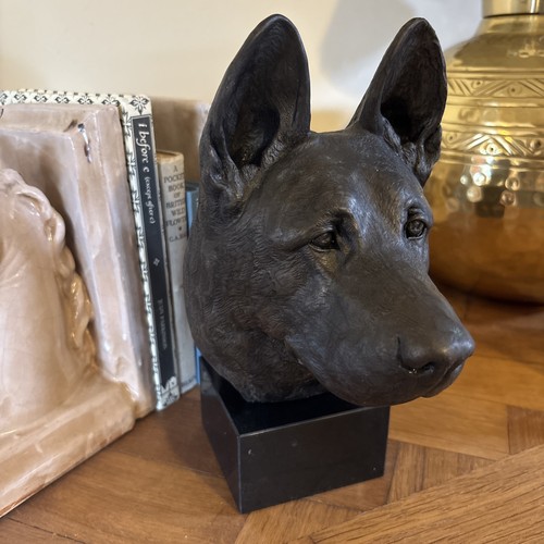 German shepherd dog alsatian - german,