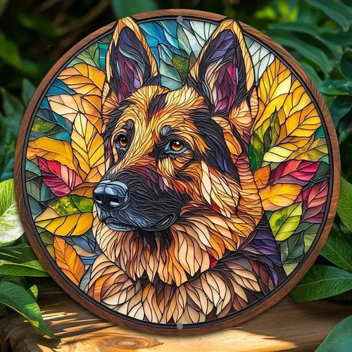Alsatian german shepherd dog - alsatian,
