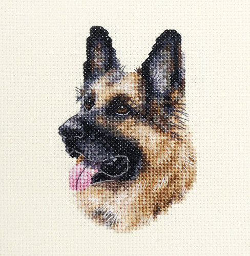 German shepherd dog full - shepherd,