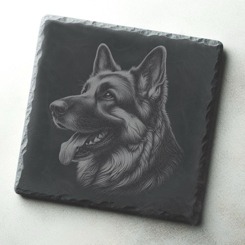 German shepherd alsatian dog - alsatian,