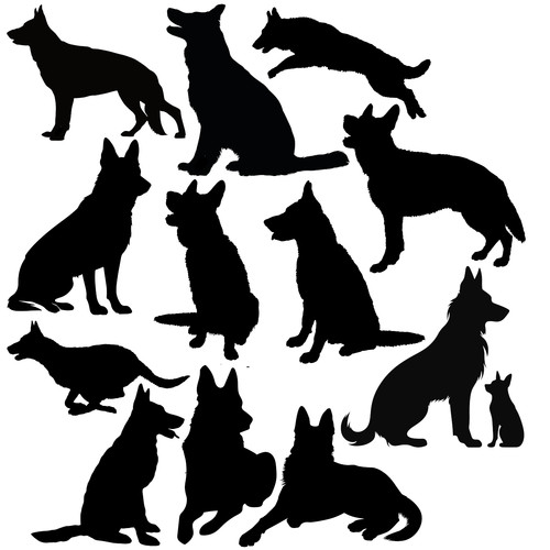 German shepherd breeds - shepherd,